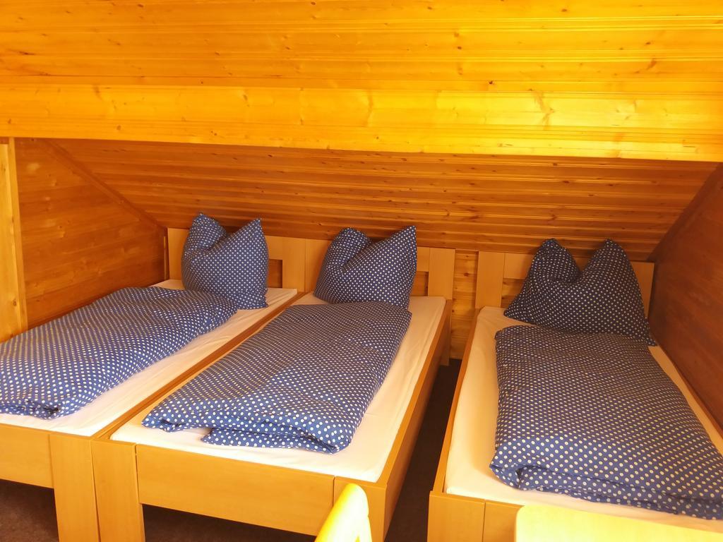 Železná Ruda Ski & Bike Spicak מראה חיצוני תמונה