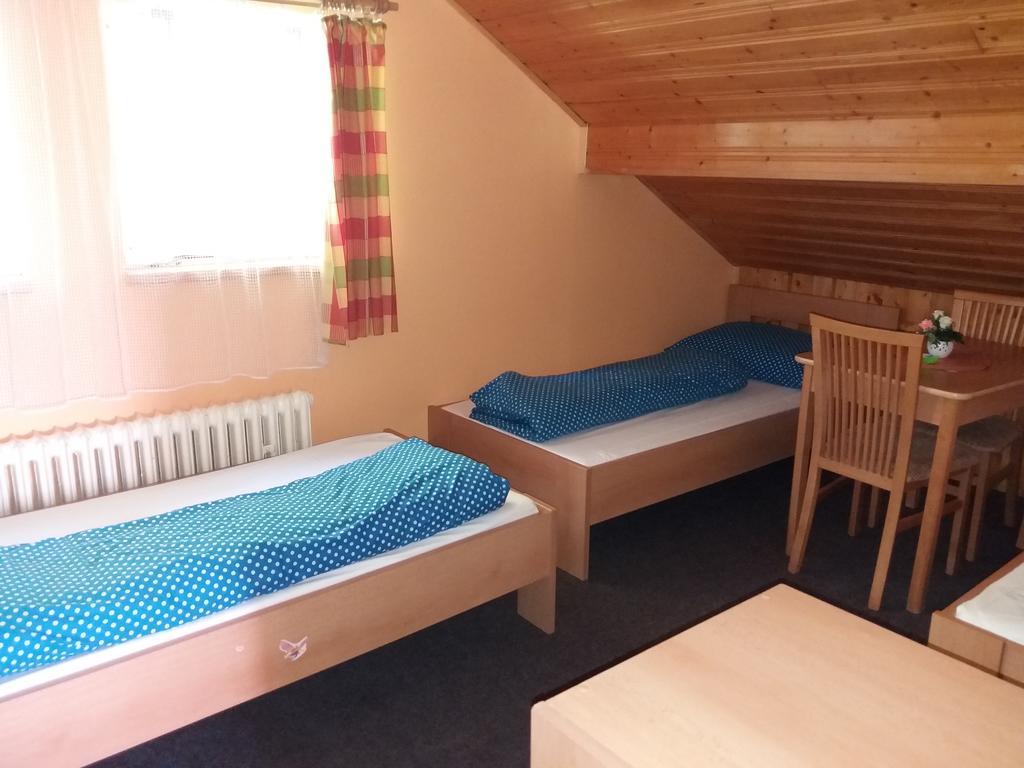 Železná Ruda Ski & Bike Spicak מראה חיצוני תמונה